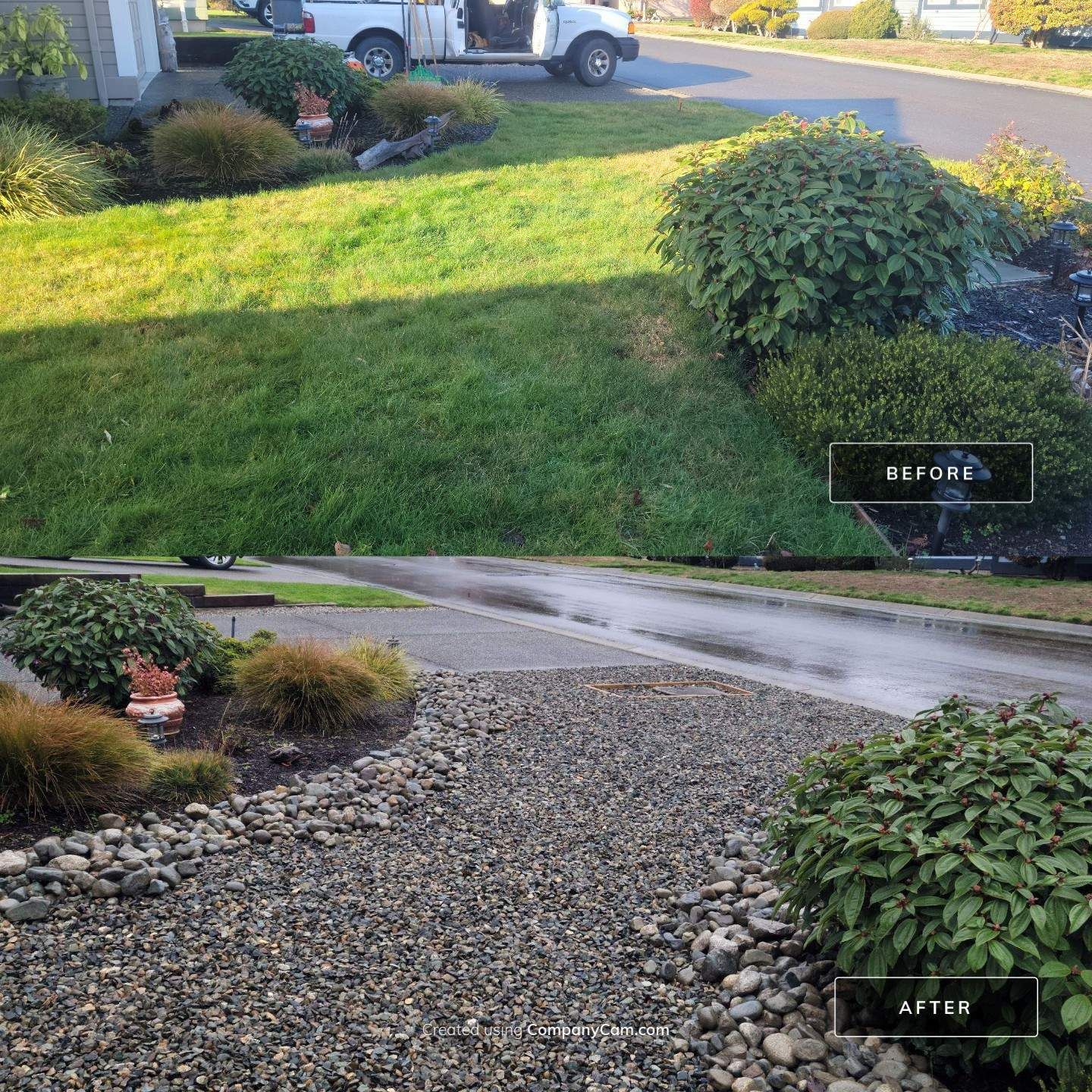 A before and after photo of a lawn