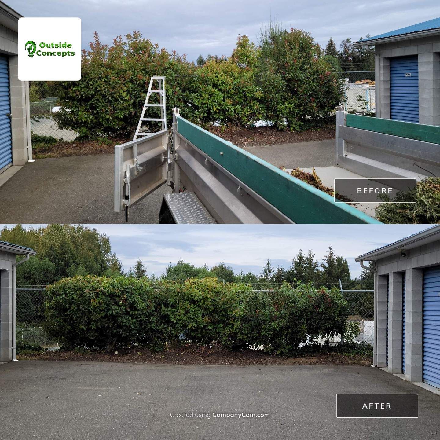 A before and after picture of a hedge being removed