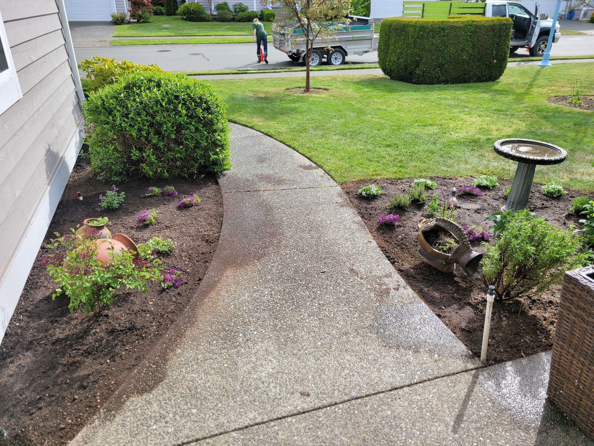 Curved concrete walkway beside a house, bordered by mulch beds and shrubs, leading to a grassy yard.
