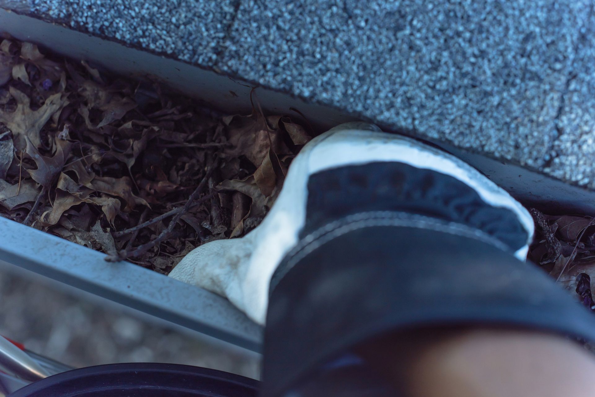A person is cleaning a gutter with a pair of gloves.