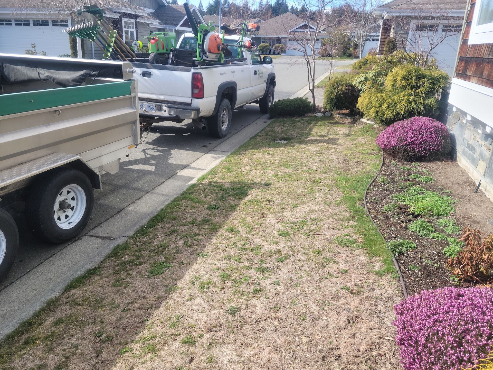 landscape maintenance