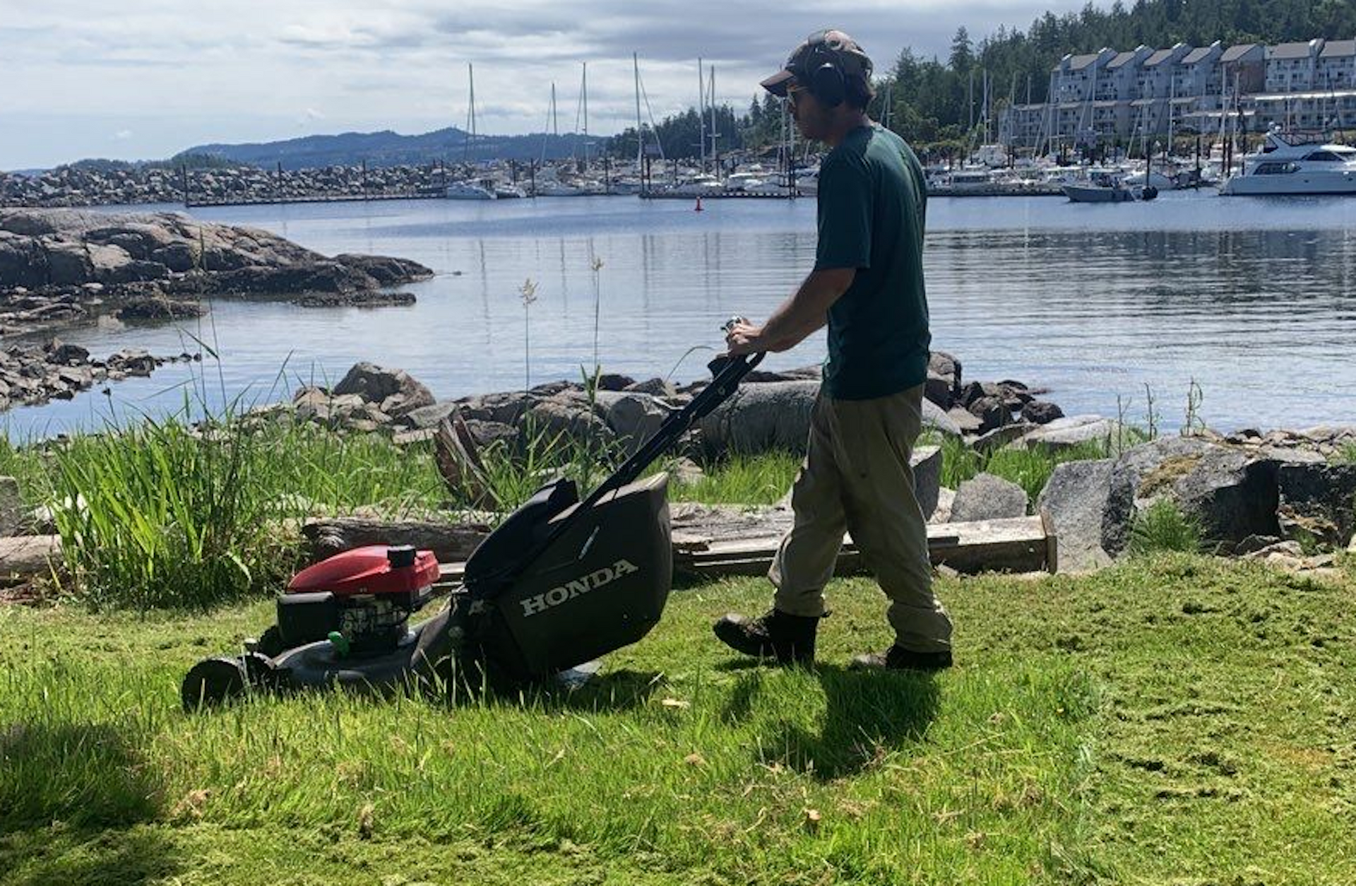 A man is mowing the grass with a honda lawn mower.