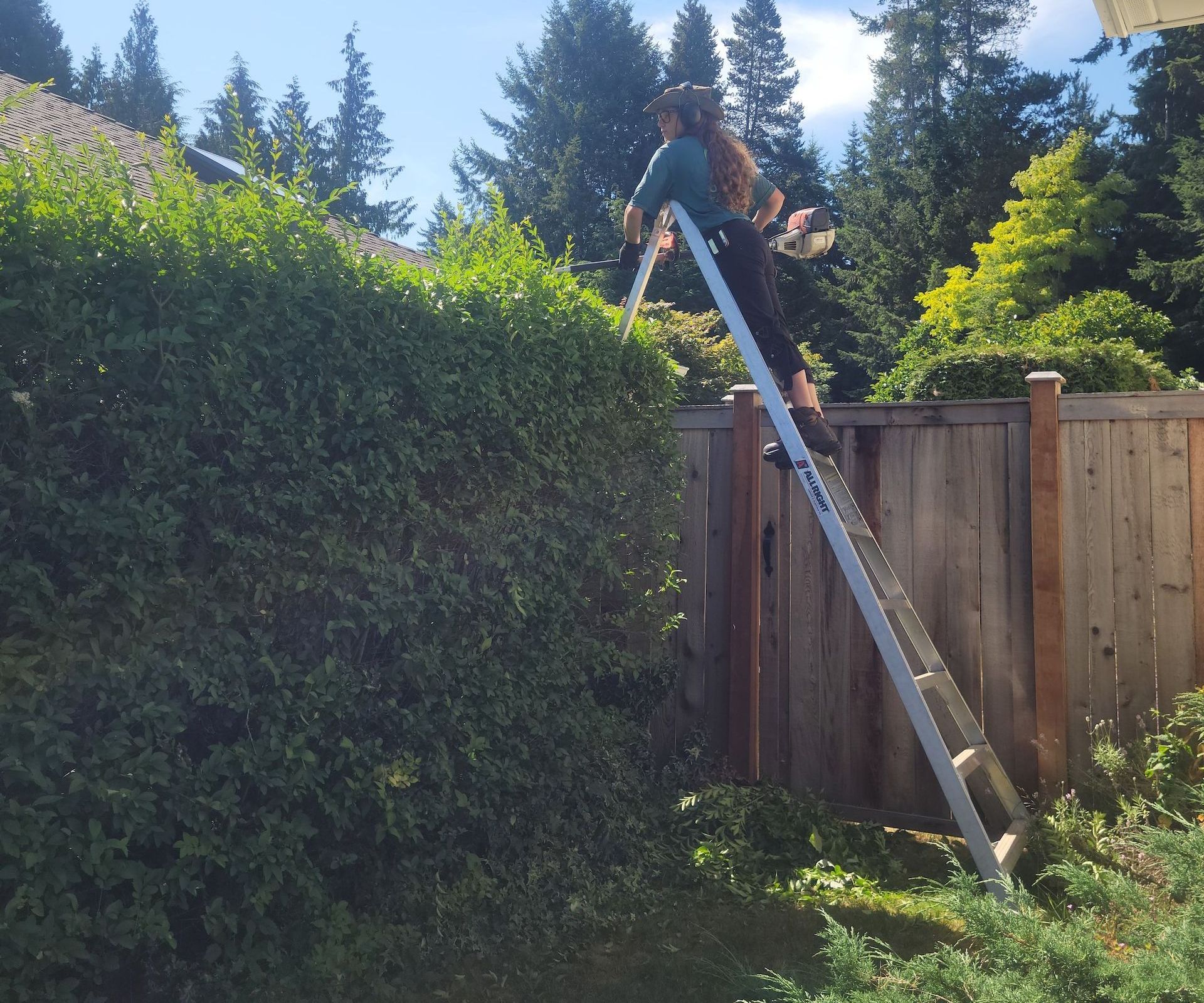 A person standing on a ladder over a wooden fence