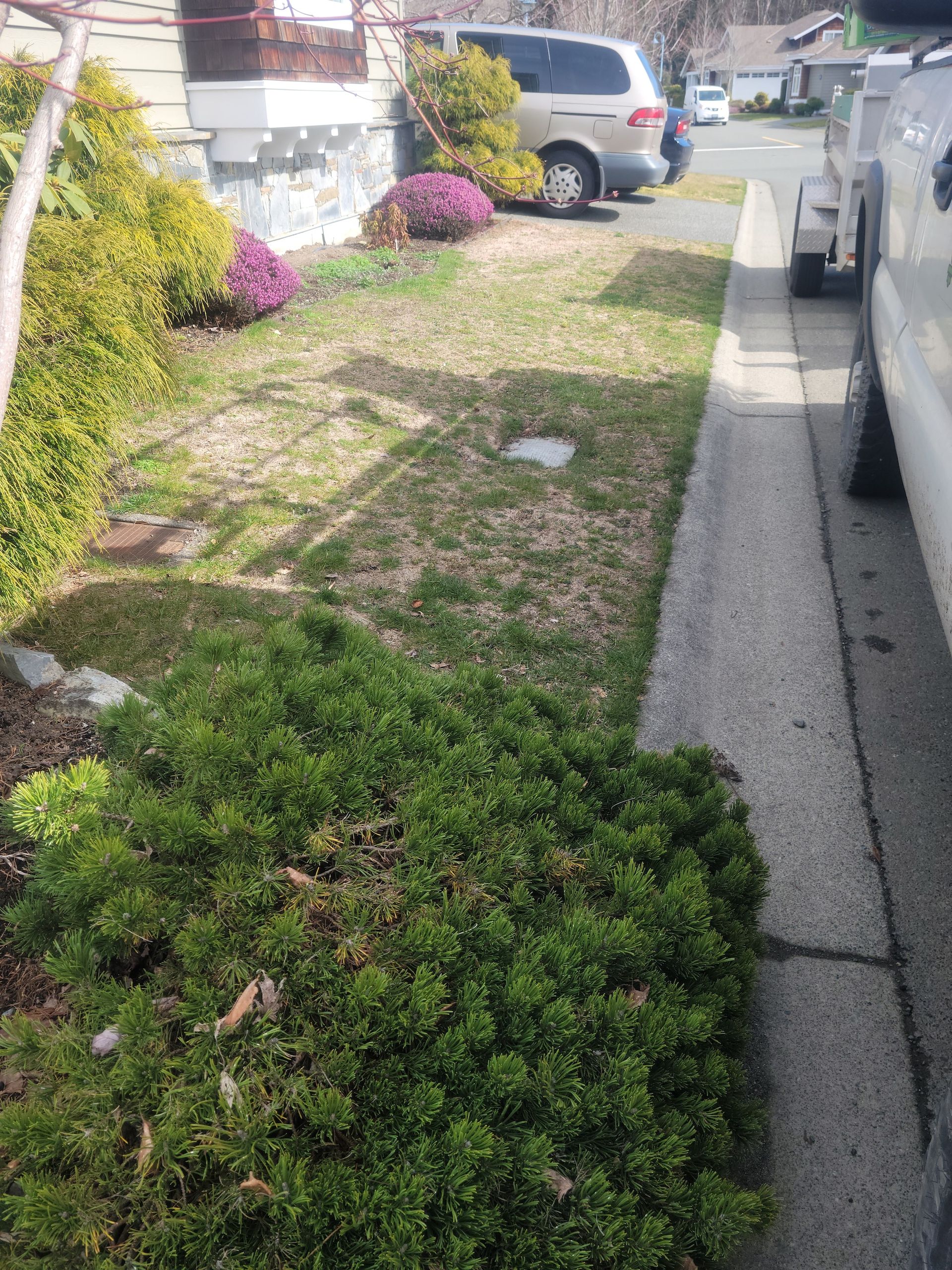 landscape maintenance