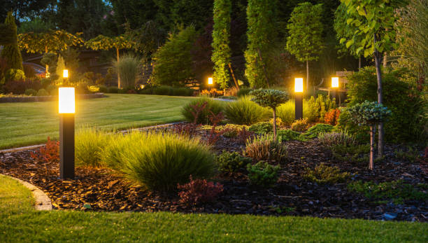 Benefits Of Hiring A Professional Landscape Designer