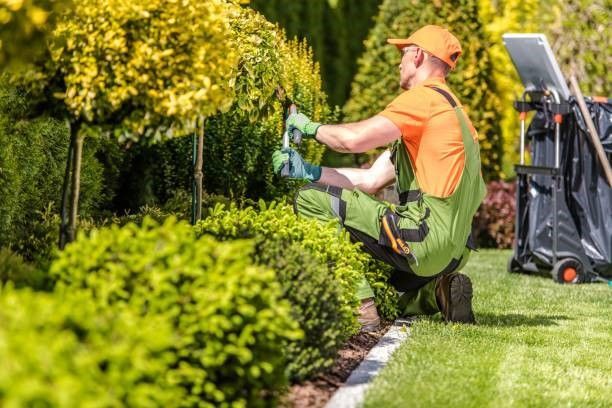 How to Maintain Your New Landscape