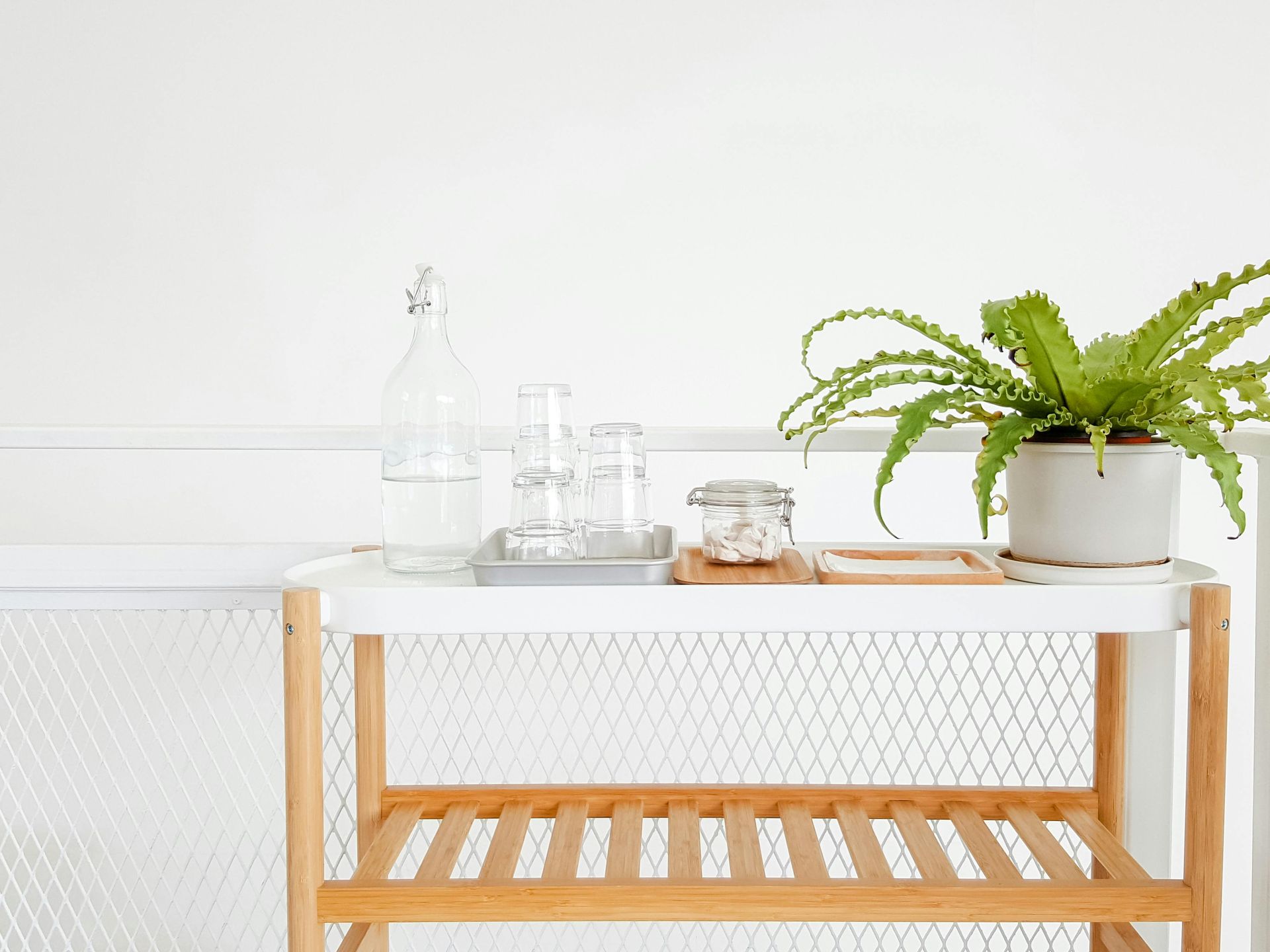 White table with water bottle, glasses, and potted fern against a white wall.