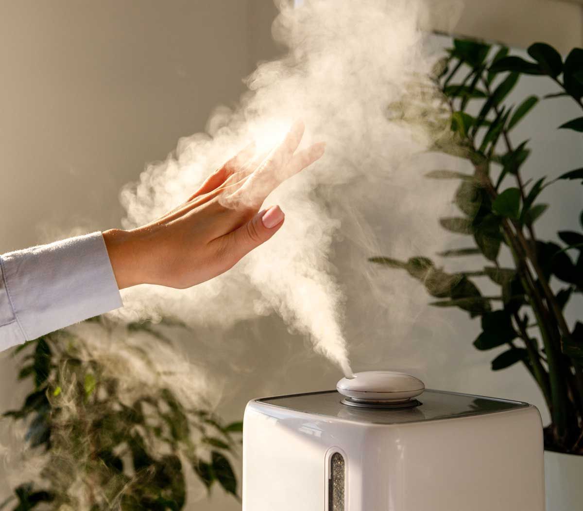Hand held over humidifier emitting mist, near a potted plant indoors.