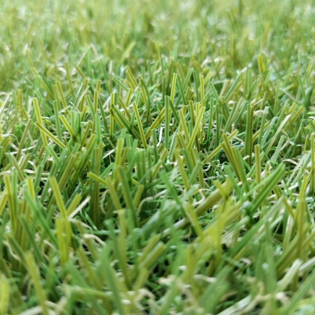A close up of a patch of green grass.