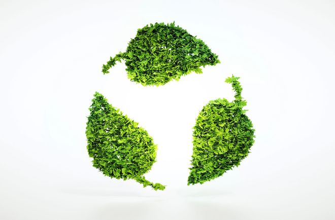 Un simbolo di riciclo formato da tre foglie di un verde brillante e dalla texture particolare, su uno sfondo bianco uniforme.