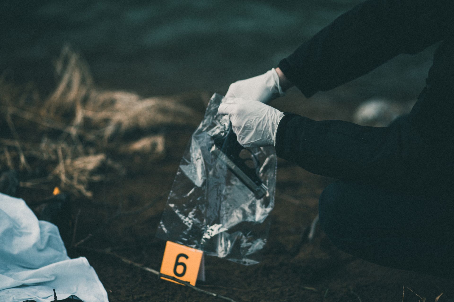 Forensic evidence bags