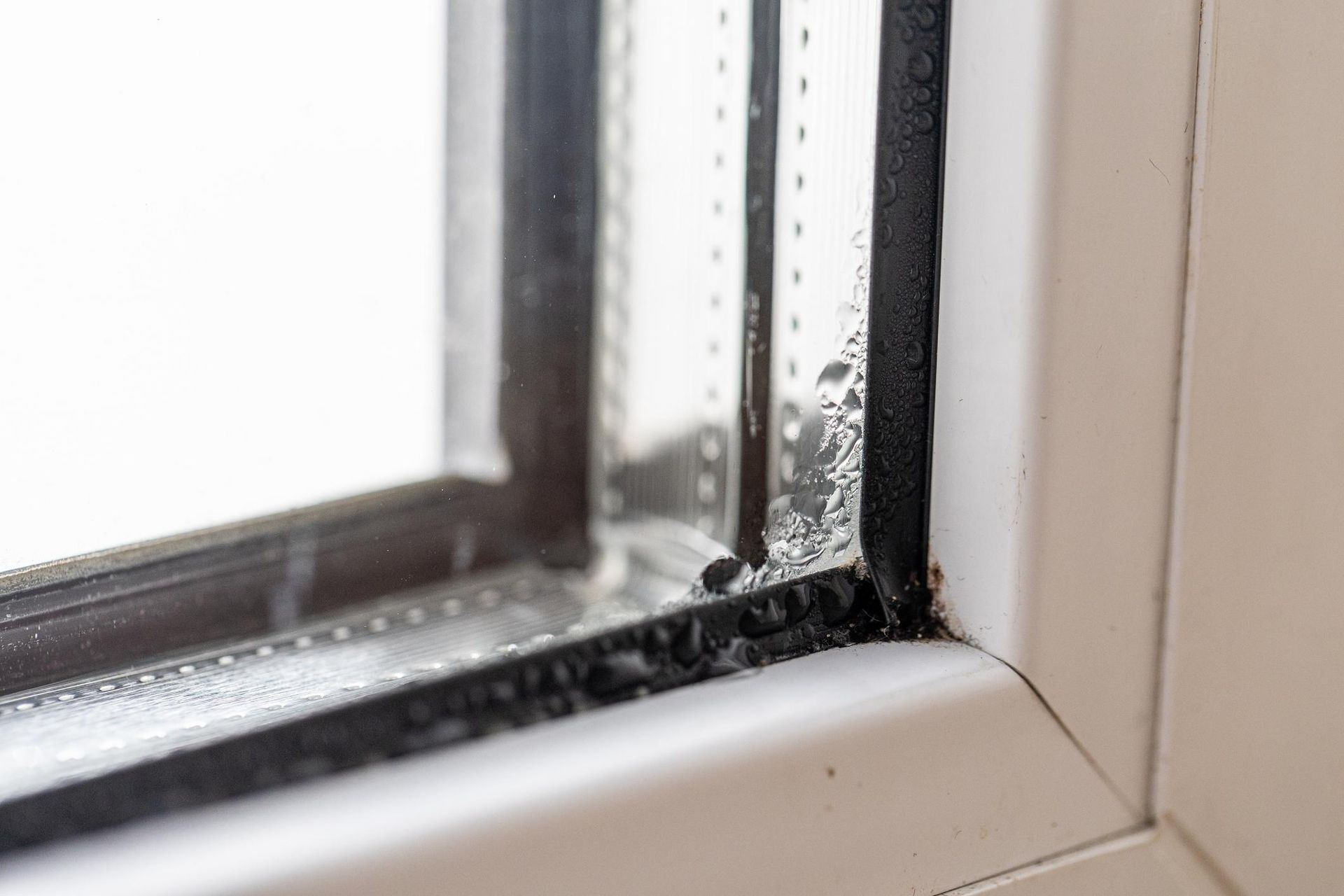 Condensation and Glazing