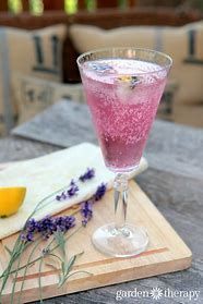 Lavender Simple Syrup Kit