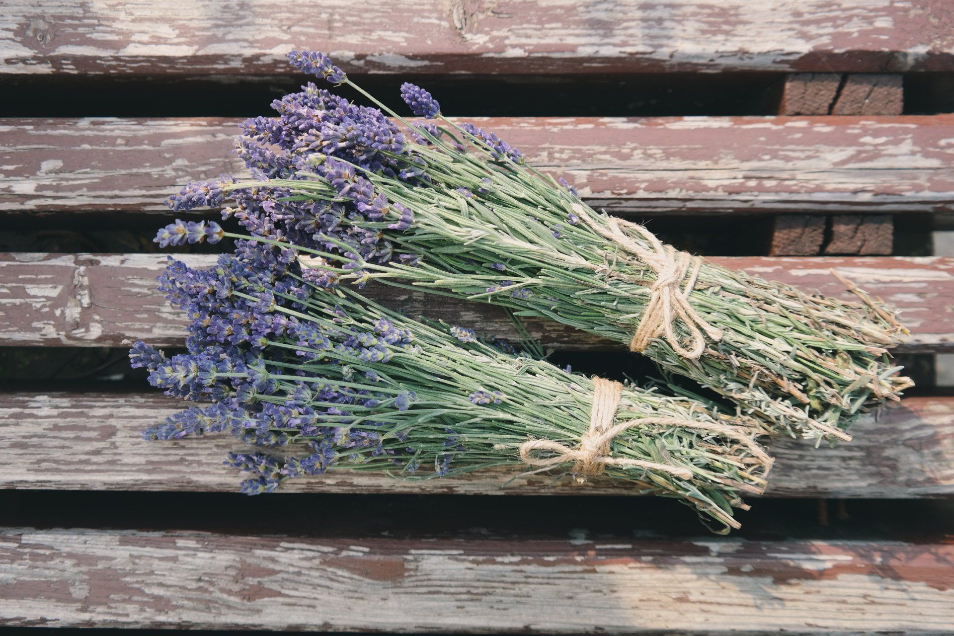 Dried Lavender Bouquet