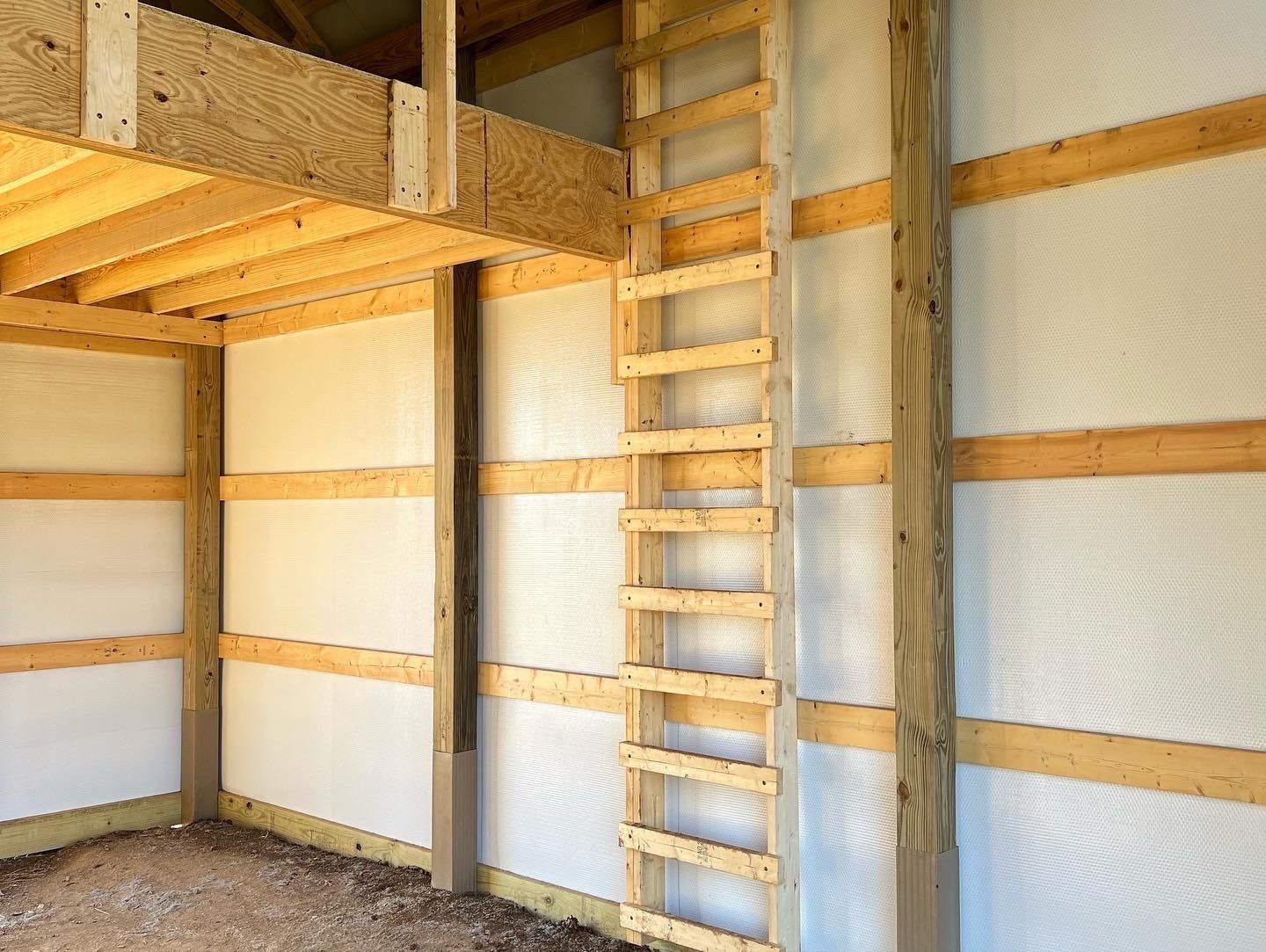 An interior view of a pole barn featuring horizontal wall girts, a vertical wall ladder, and a wooden loft platform.
