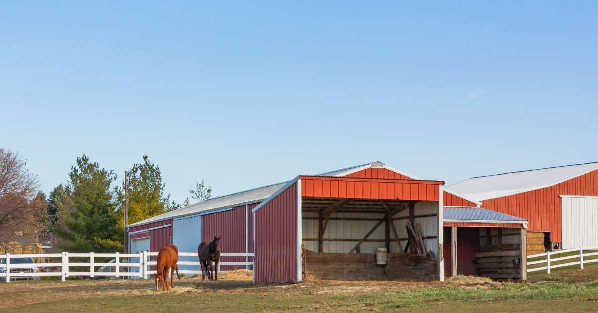 Red pole barn structures on a farm next to a white fence and two brown horses and trees in the background.