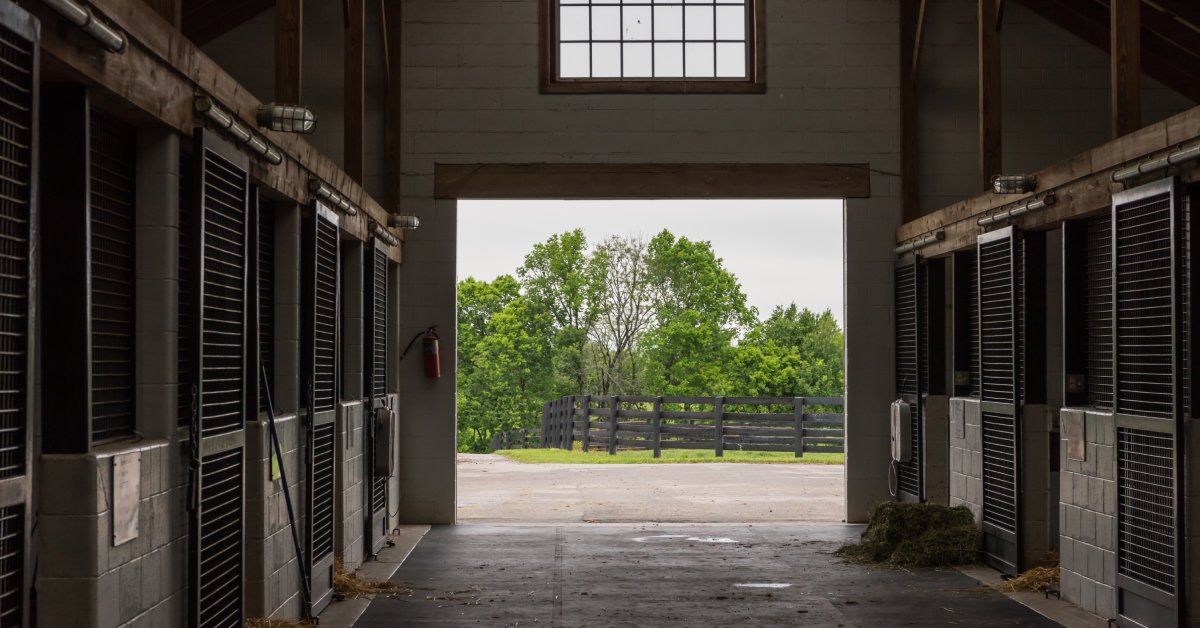 The interior of a barn with wooden beams, stables on both sides of the center aisle, and piles of hay on the floor.