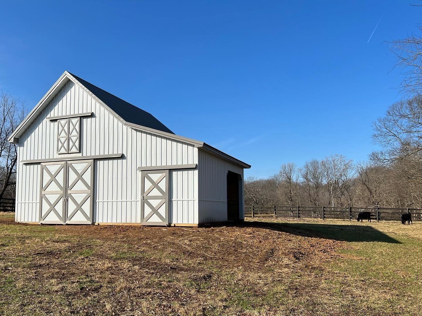 A white barn with gray trim sits in a grassy field under a clear blue sky, with two cows grazing in the background.