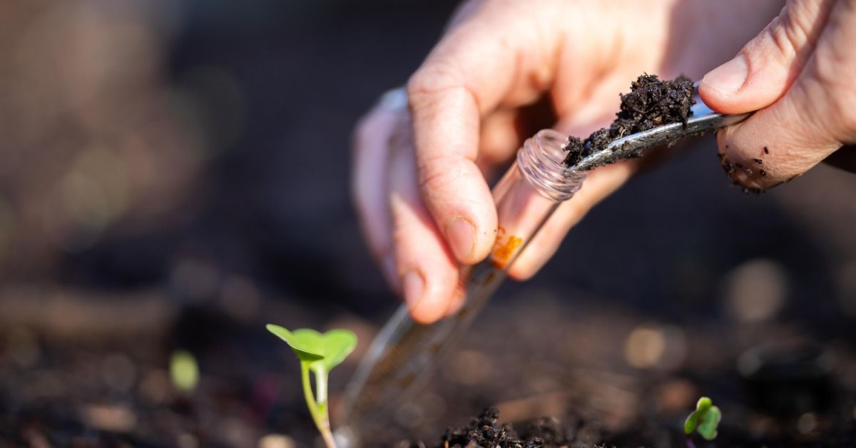 Hands placing a soil sample into a small glass tube beside young plants growing in dark soil outdoors.