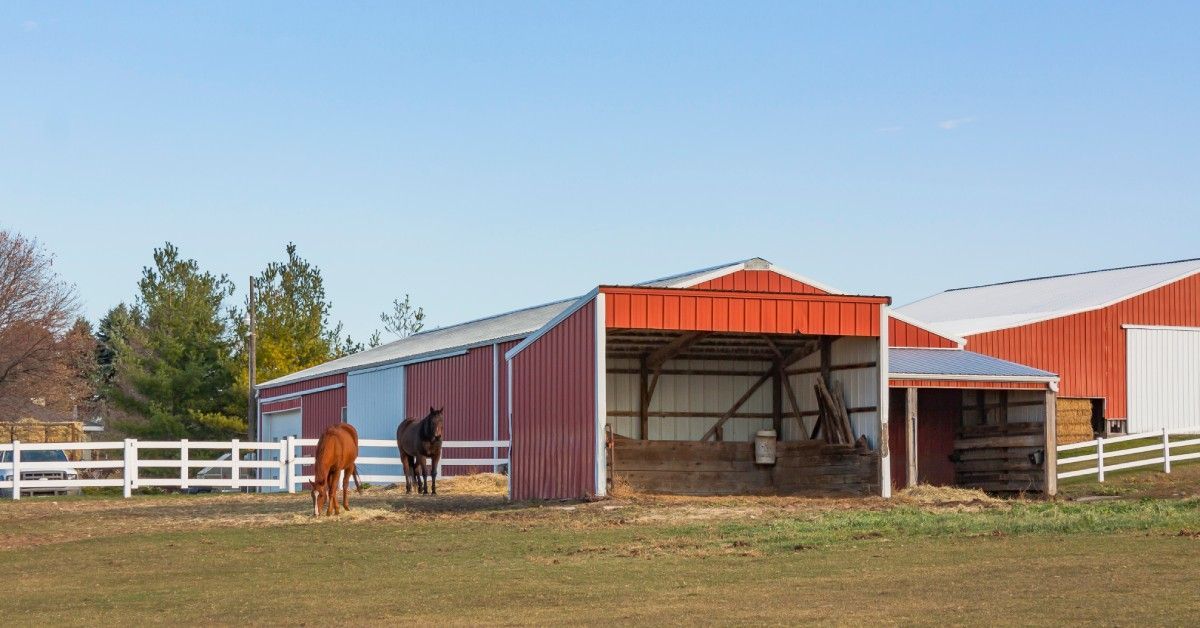 Two brown horses grazing next to a series of red and white metal pole barns built on a farm property.