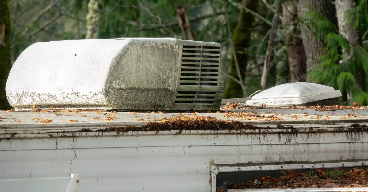 A close-up of a dirty roof of an RV parked in a forest. The white RV is covered with leaf debris, pine needles, and twigs.