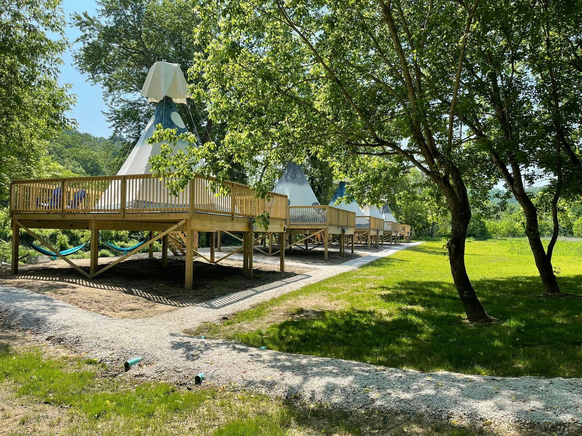 A row of white conical glamping tents on wooden platforms situated among trees in a grassy, sunlit landscape.