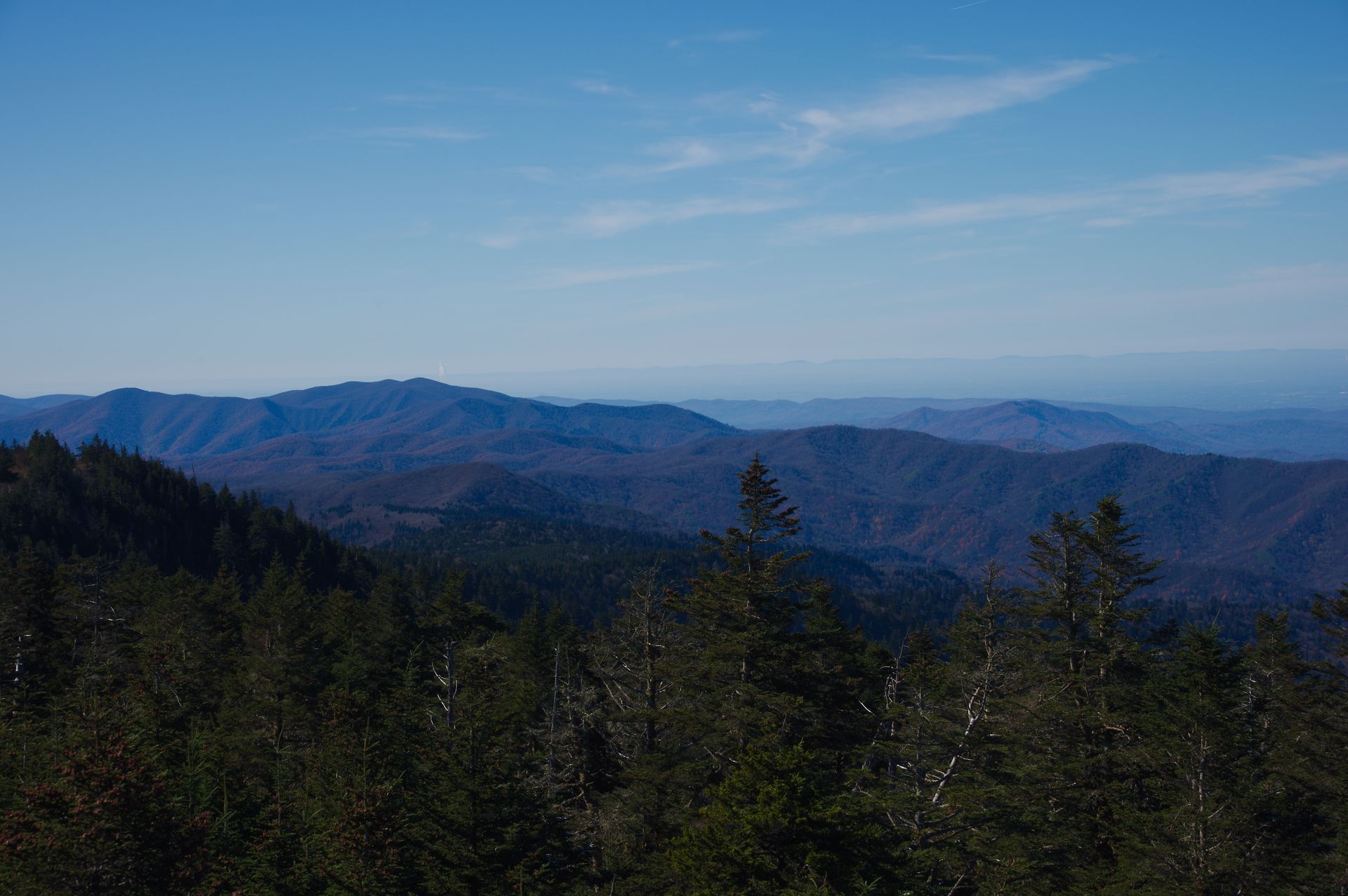 Mountain range under a clear blue sky, viewed from a high vantage point, with forest in the foreground.