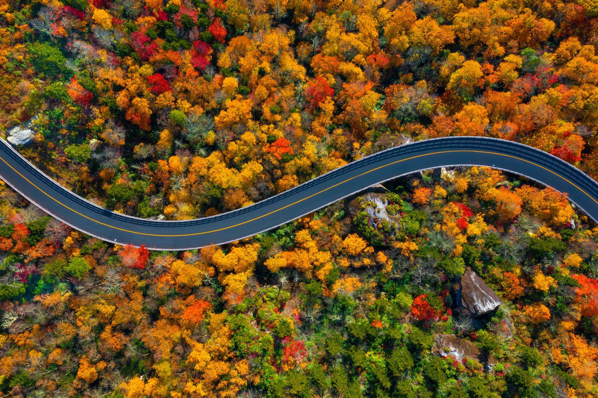 Winding road through colorful autumn forest; vibrant red, orange, and green trees.