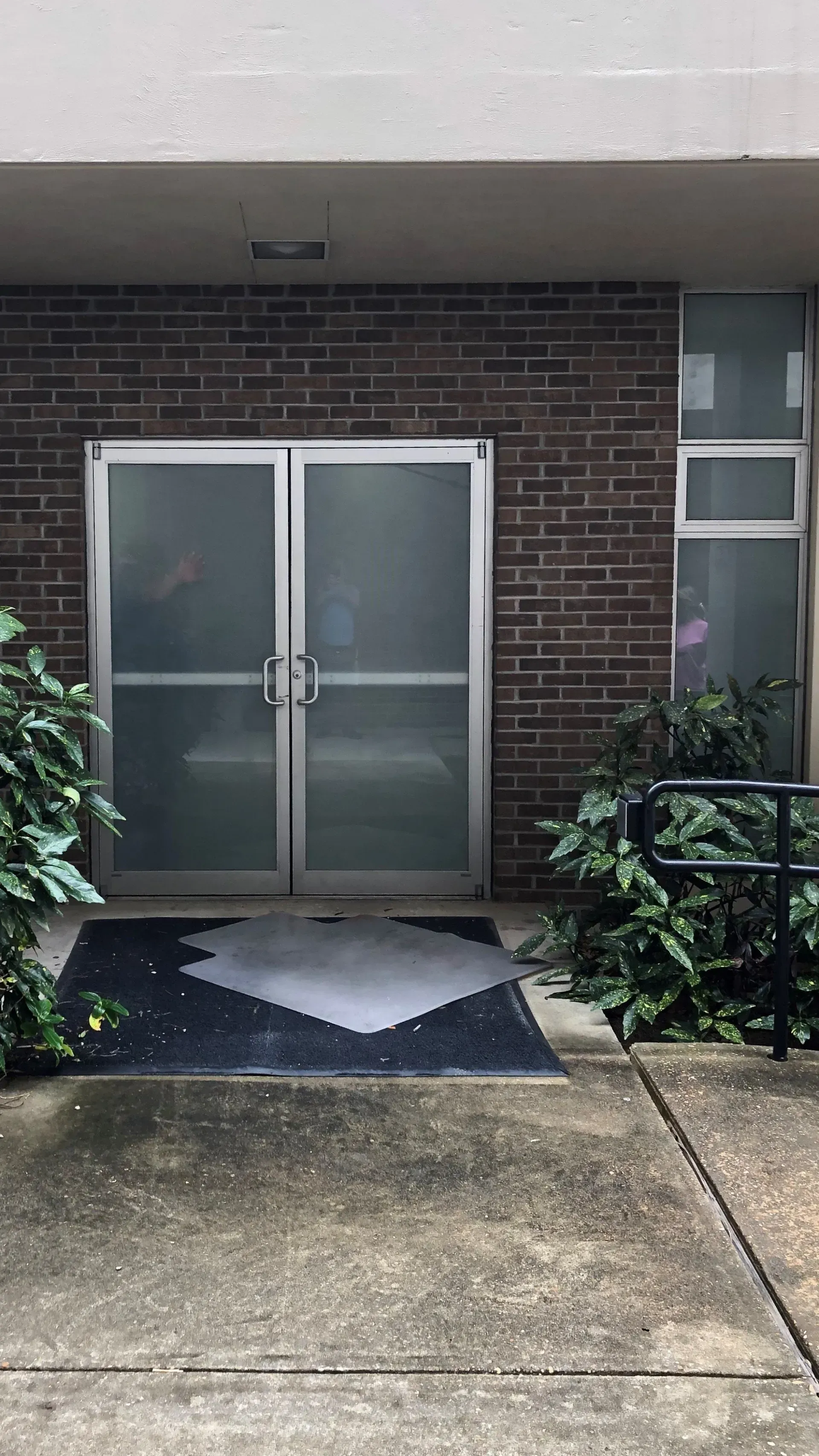 Concrete walkway leading to glass double doors with a brick facade and shrubs on both sides