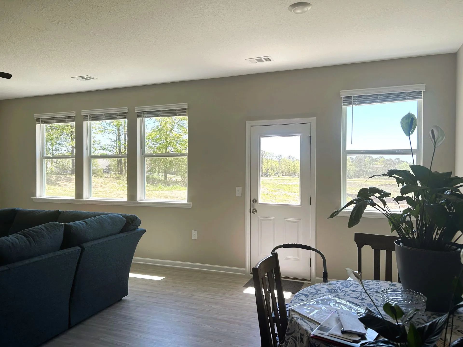 Bright living room with large windows, a white door, dark sofa, and a potted plant by a table.