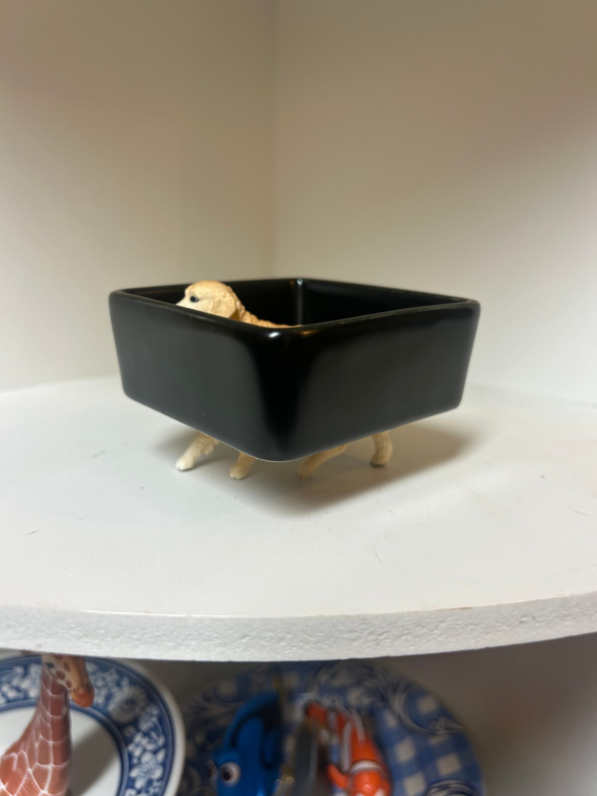 Golden retriever - deep black square dish (7.5 x 7.5 cm)