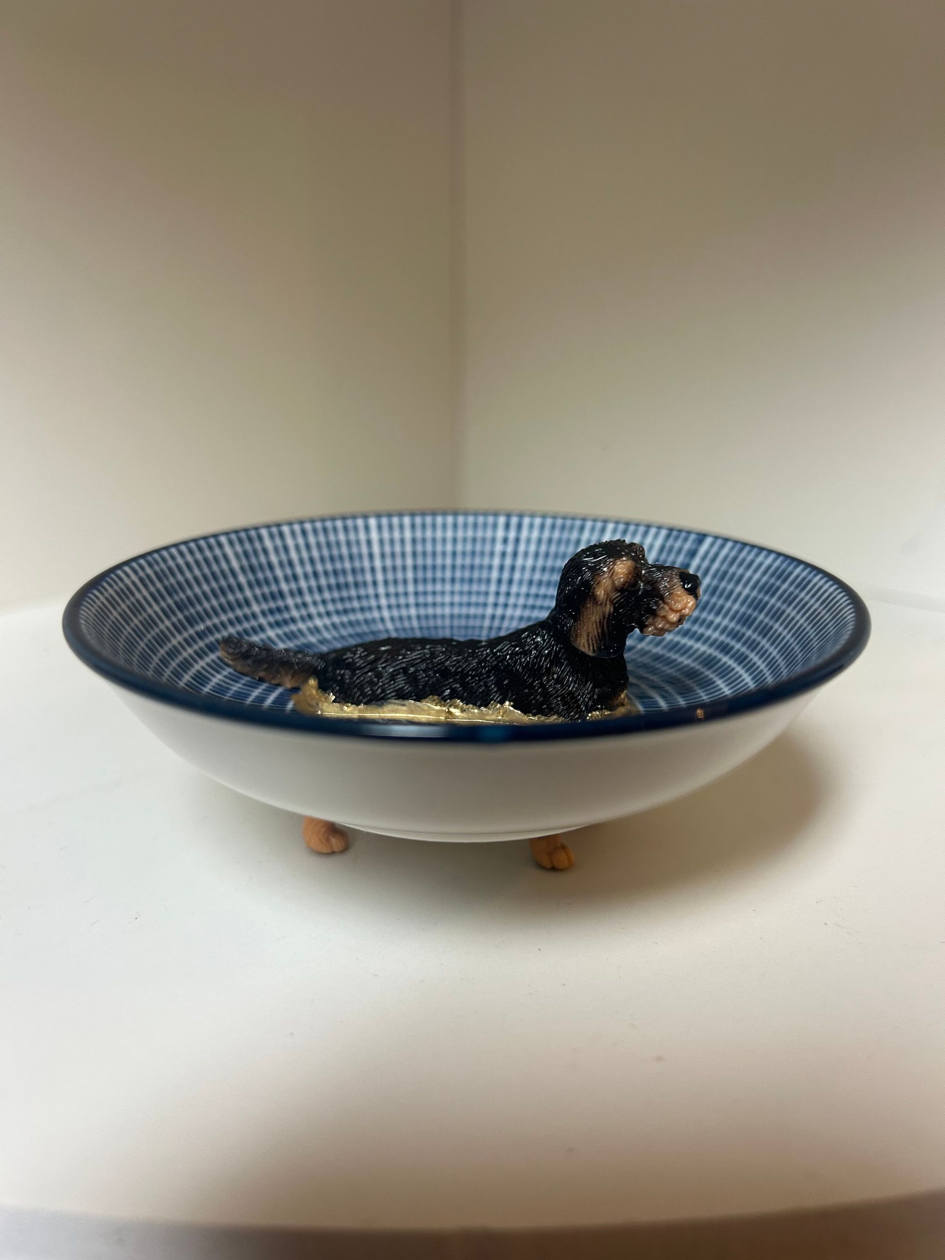 Wire-haired Dachshund - blue bowl, 10 cm diameter