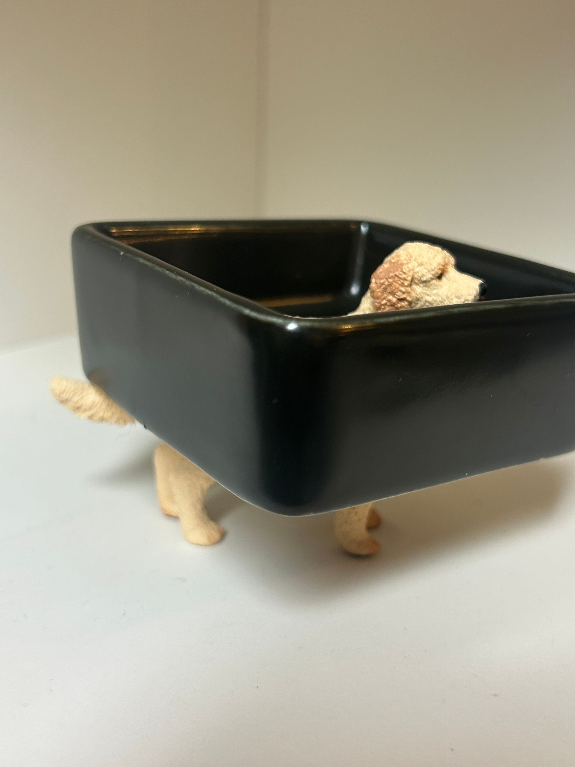 Blond Labradoodle – deep square black dish (7.5 x 7.5 cm)