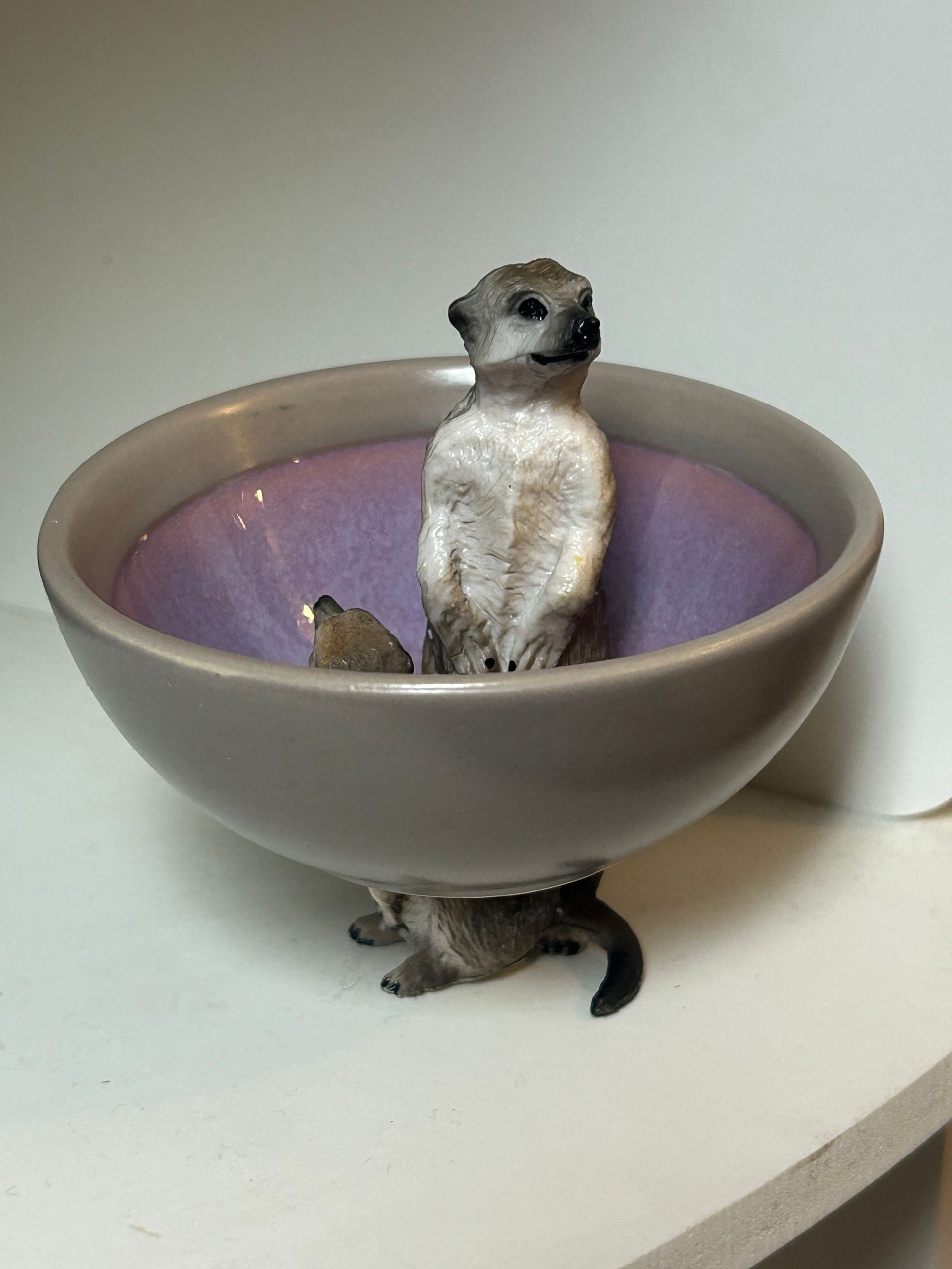 Meerkats - gray-purple deep dish, 7 cm in diameter