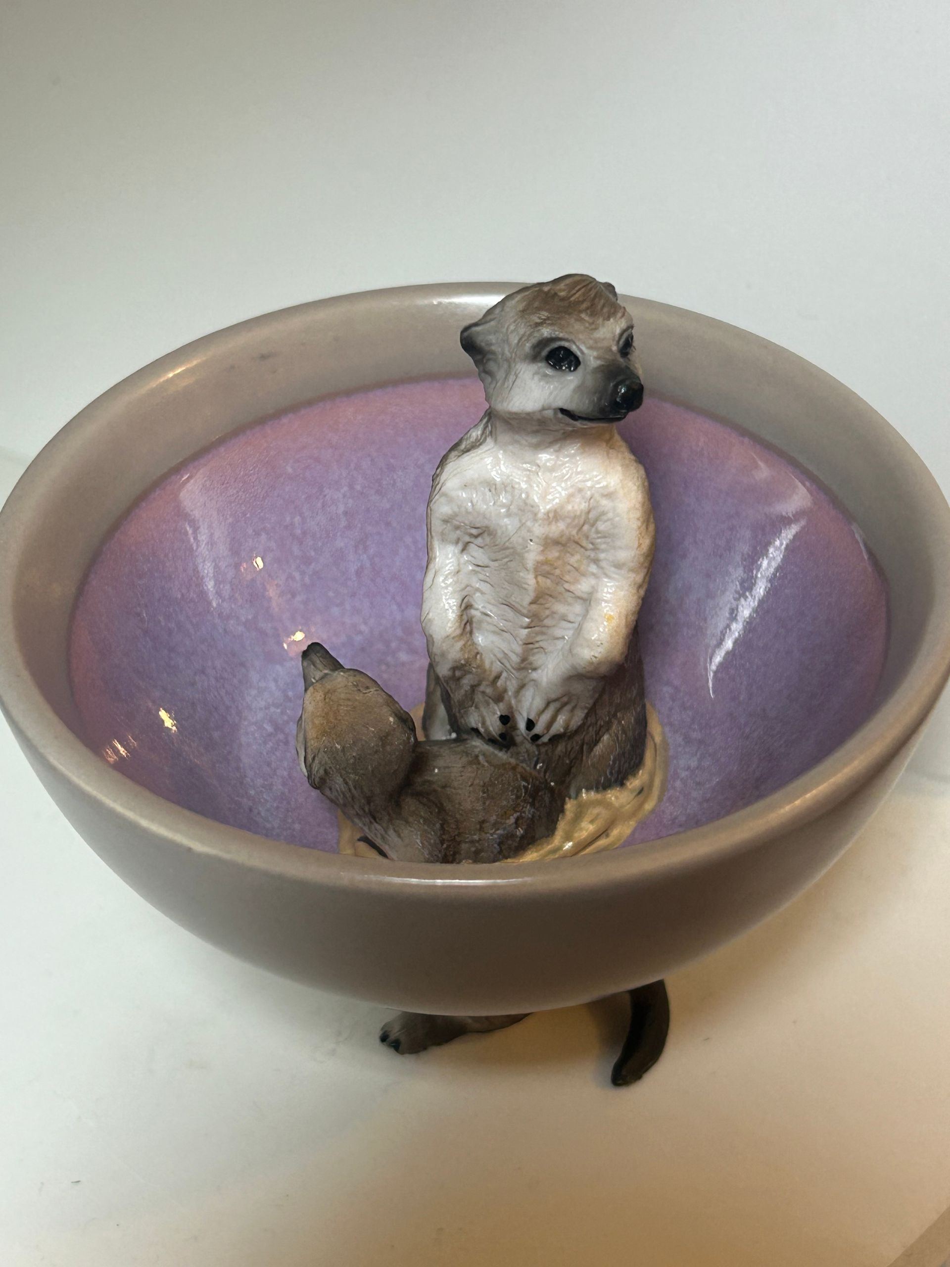 Meerkats - gray-purple deep dish, 7 cm in diameter