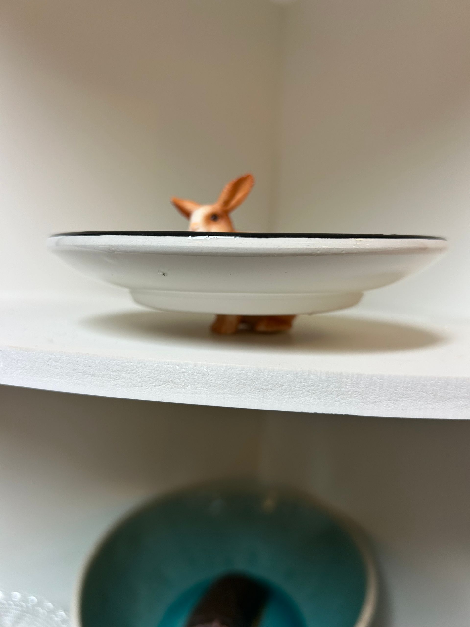 kleines braun-weißes Häschen – Schälchen in Primärfarben, 12 cm Durchmesser