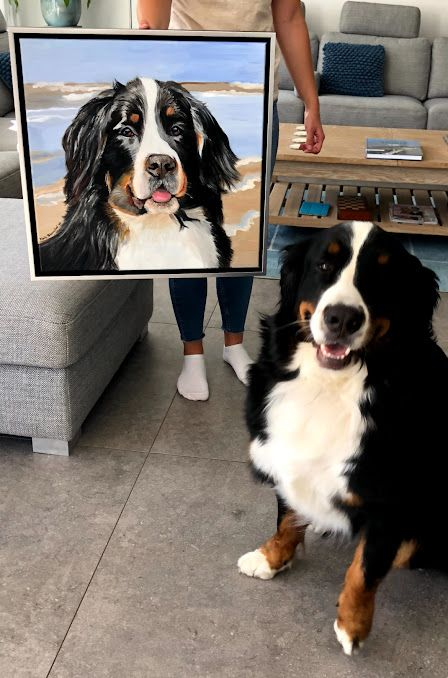 Een persoon houdt een portret van een Berner Sennenhond naast de echte hond in een woonkamer.
