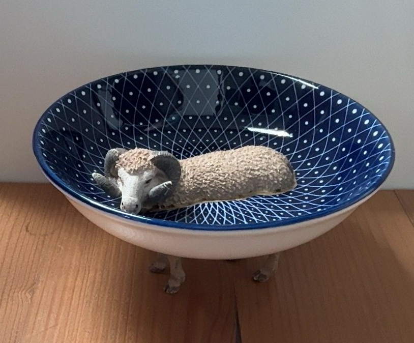 Een klein hondje ligt opgerold te slapen in een blauw, patroonrijk kommetje op een houten tafel.