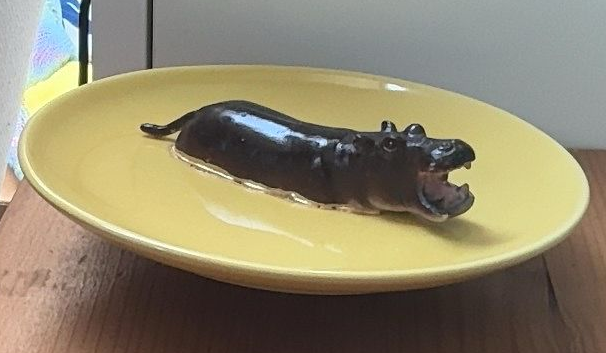 Een donkerbruin insect op een geel bord op een tafel.