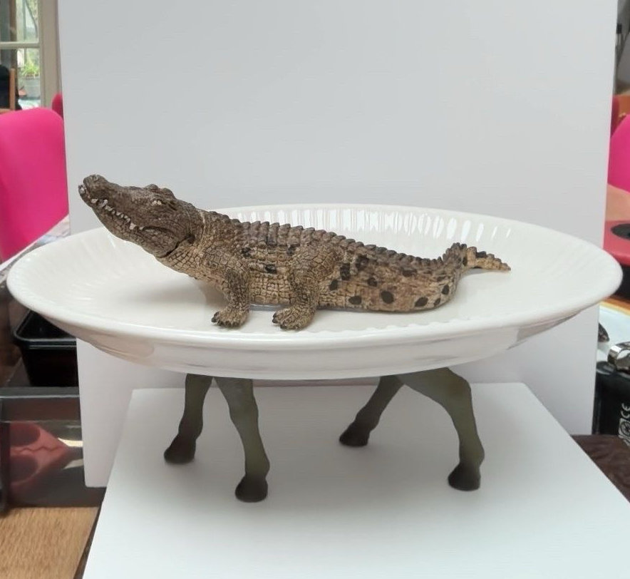 Krokodil op ezelsbenen - witte ovalen klassieke schaal