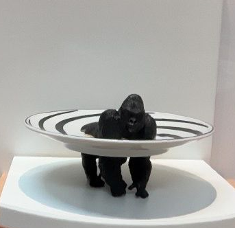 Zwarte Gorilla - zwart/wit schaaltje