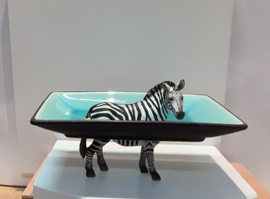 zebra - aquagroen rechthoekig schaaltje