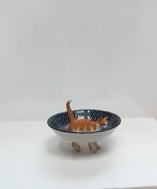 Poes rood/wit - blaues Schälchen 19 cm