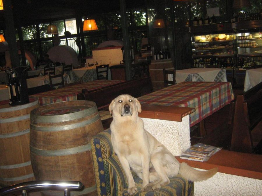 Sala del ristorante