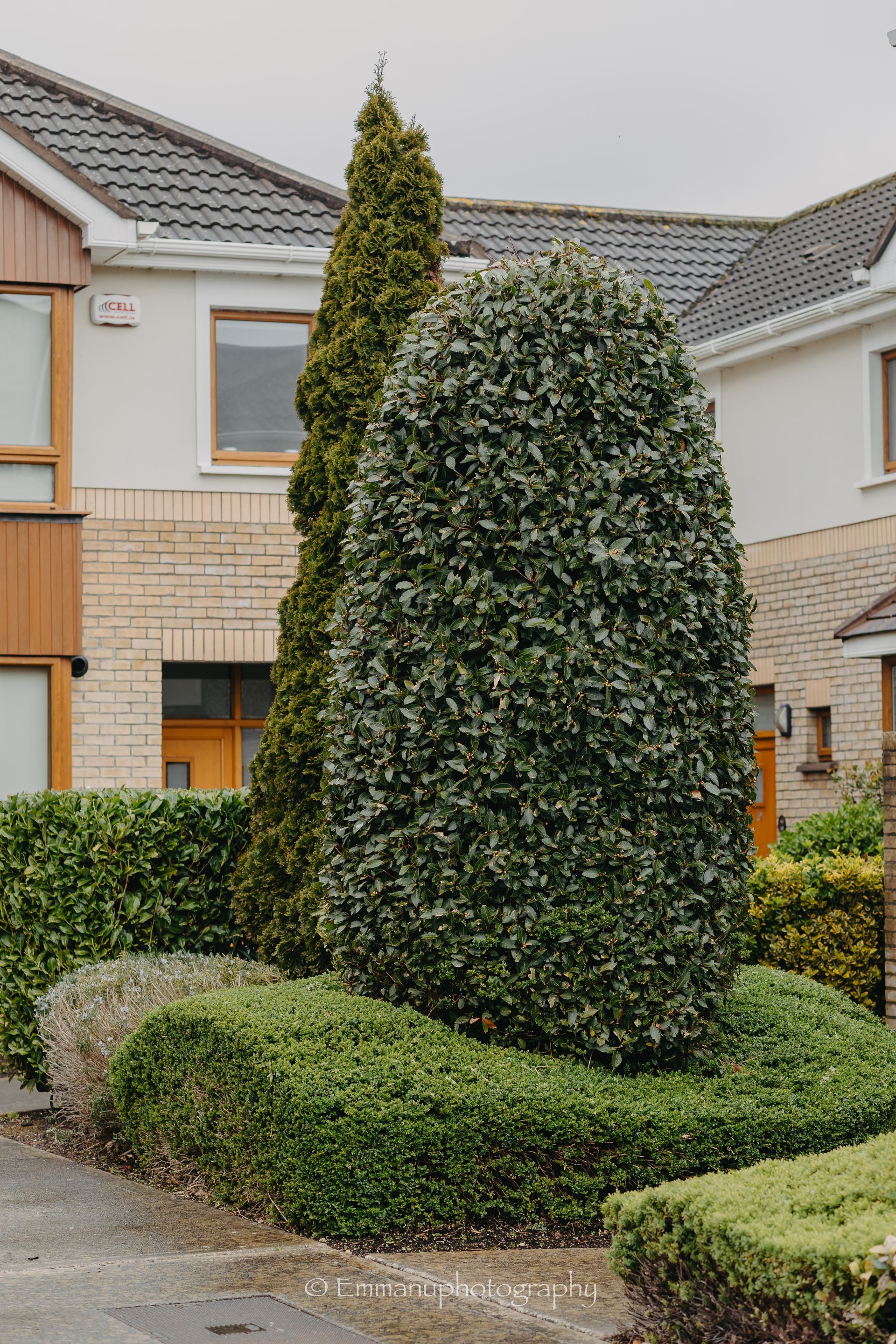 Grounds Maintenance & Landscaping by Domestic & General