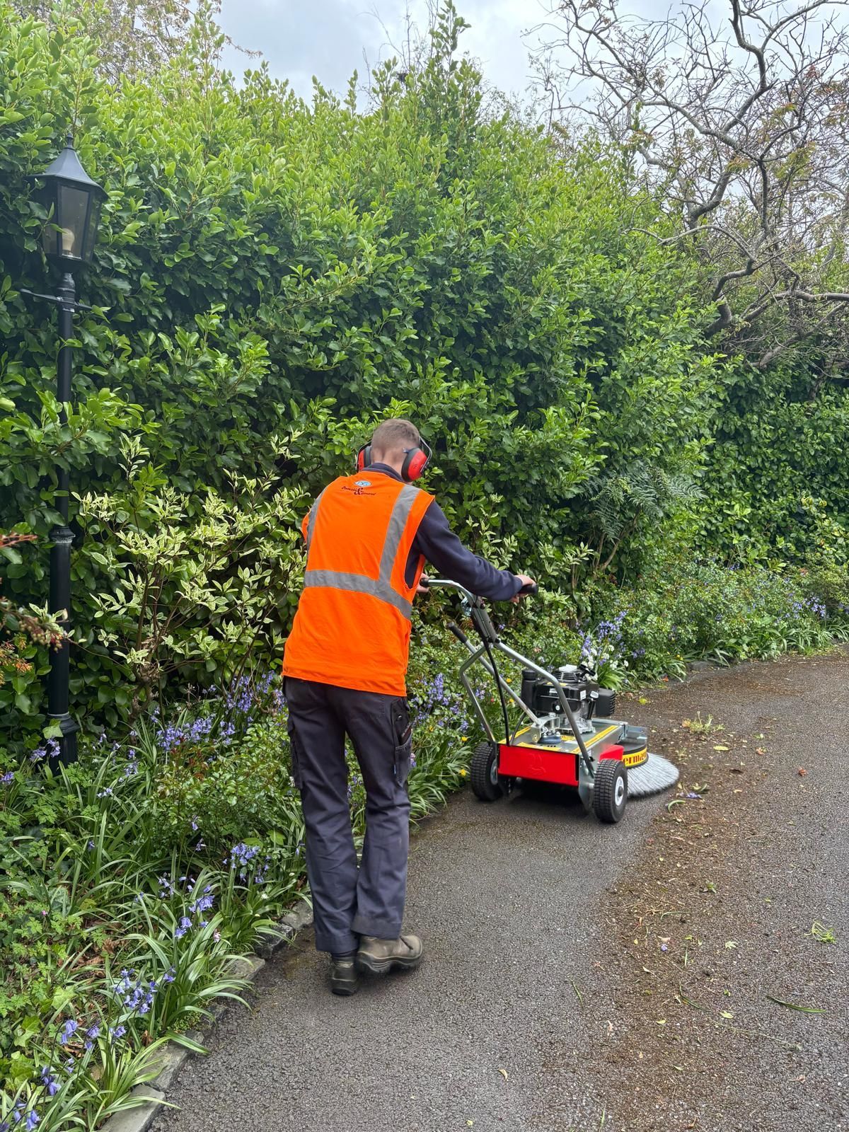 Grounds Maintenance & Landscaping by Domestic & General