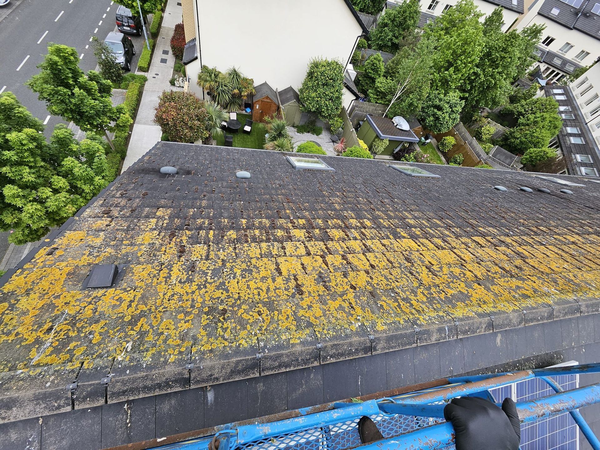 Gutter Cleaning Services Dublin