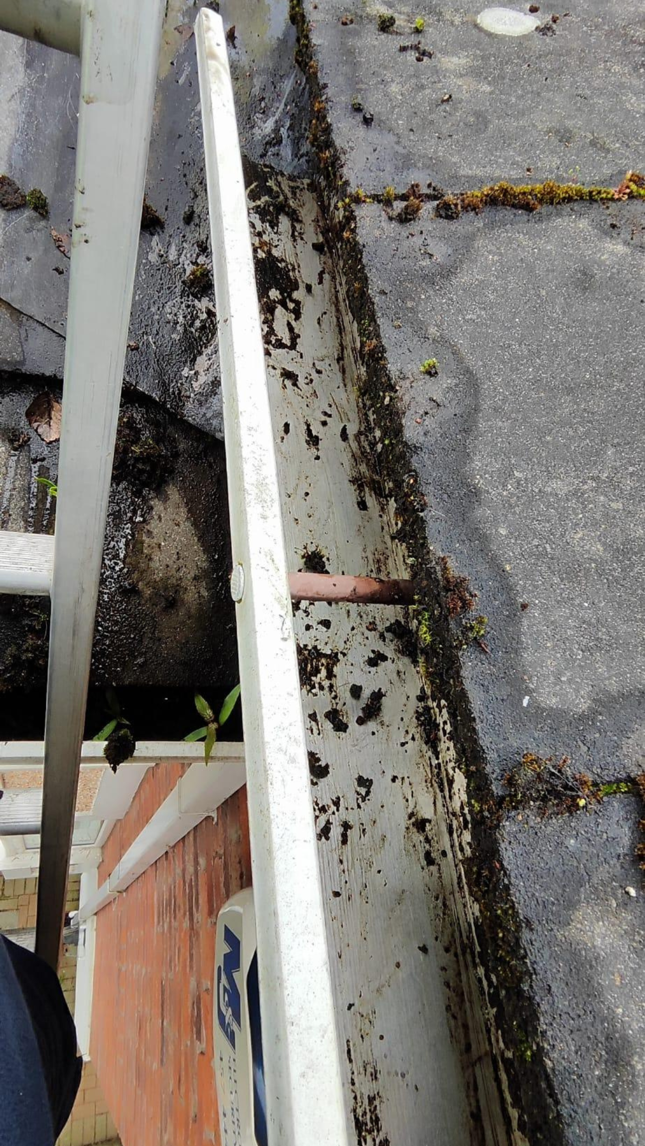 Gutter Cleaning Services Dublin