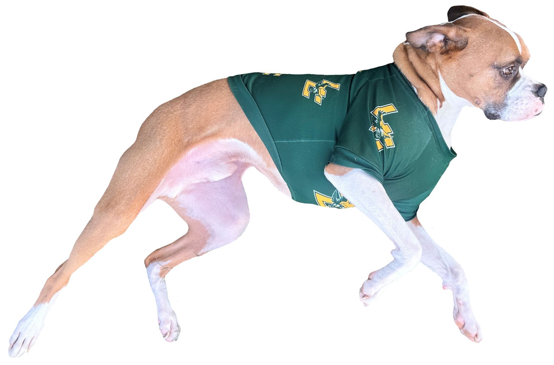 Custom sublimated apparel on premium polyester fabric like t-shirts, uniforms, polos, hoodies, bags, backpacks and blankets.