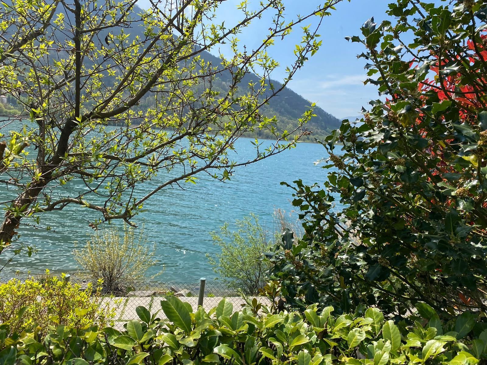 scorcio sul lago
